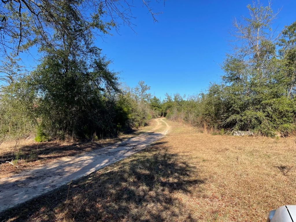 Secluded 5 acres Coffeeville